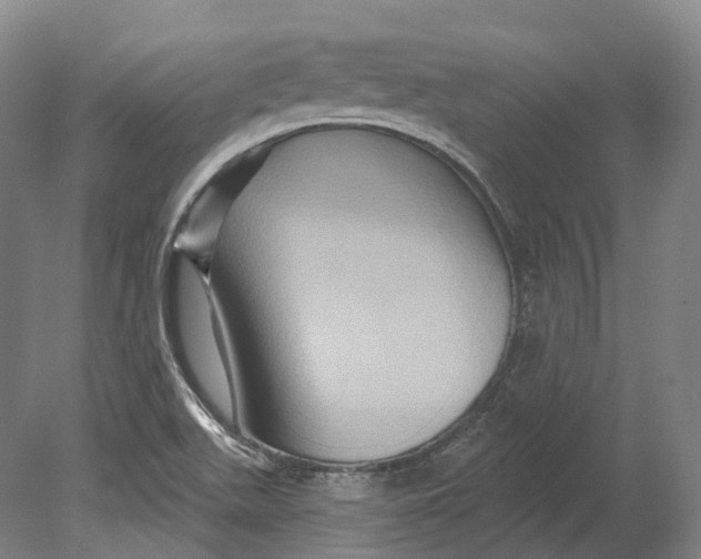 X0000080691511200701051046