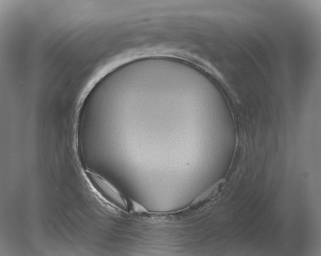 X0000080691512200701051046