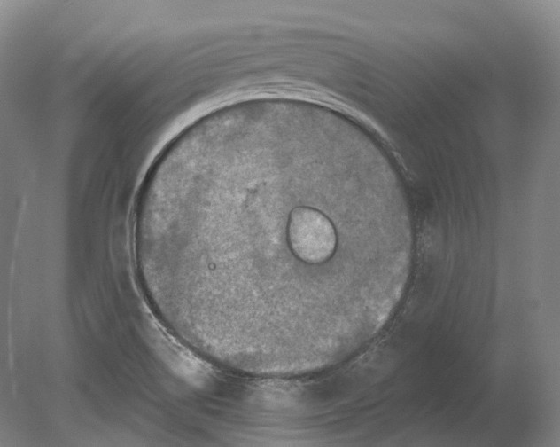 X0000080691514200701051047