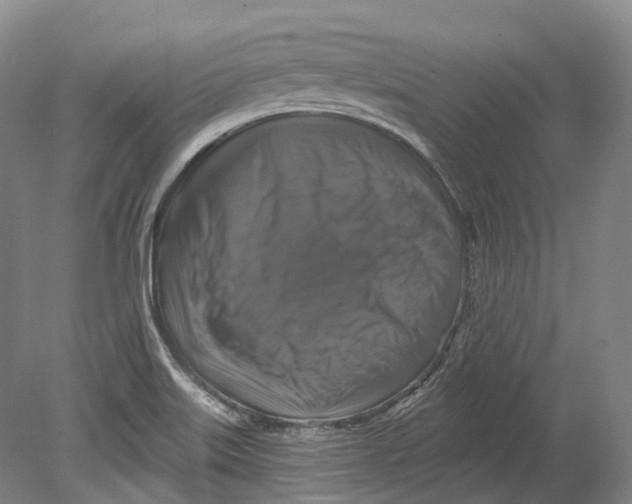 X0000080691515200701051047