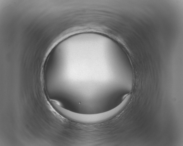 X0000080691516200701051047