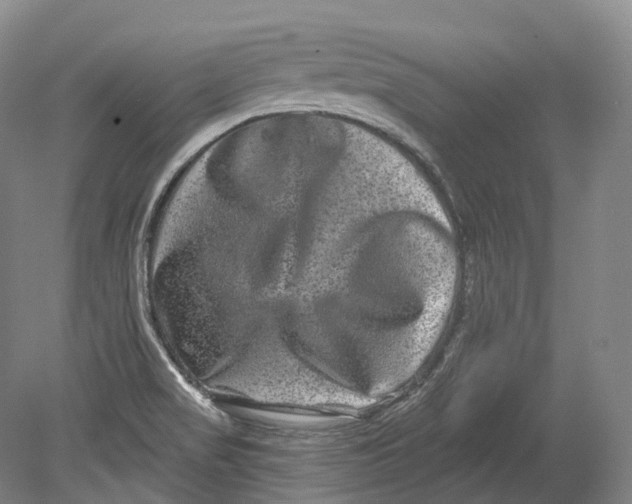 X0000080691517200701051047