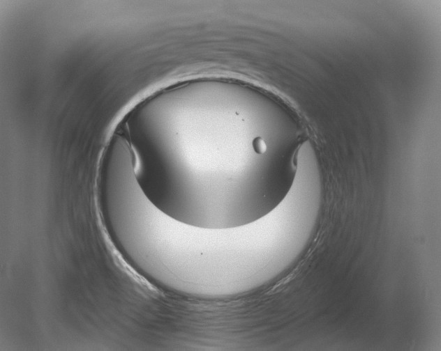 X0000080691518200701051047