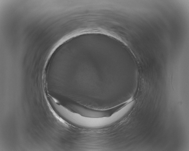 X0000080691519200701051047