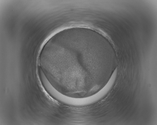 X0000080691520200701051047