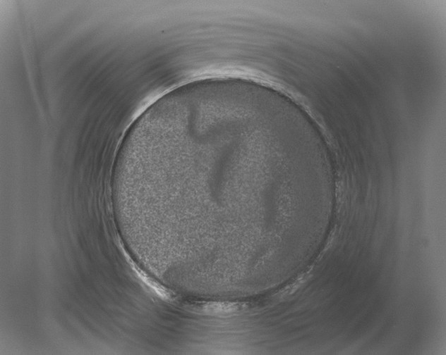 X0000080691521200701051047