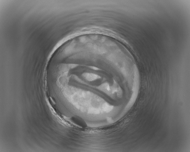 X0000080691522200701051047