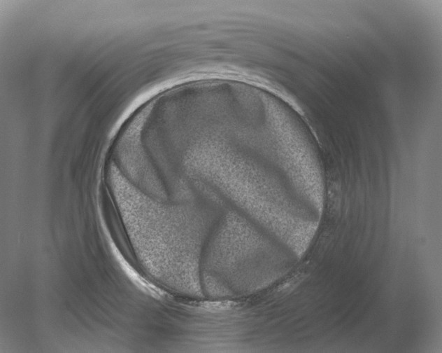 X0000080691523200701051047