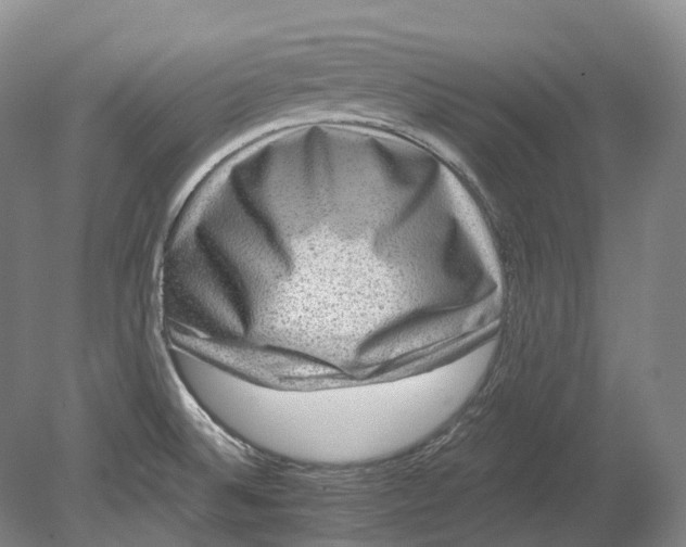 X0000080691524200701051047