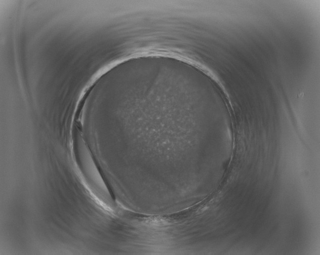 X0000080691525200701051047