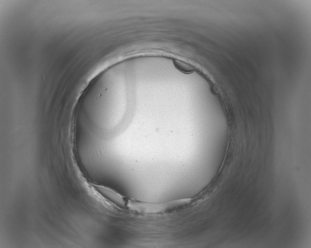 X0000080691526200701051047