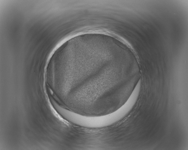 X0000080691528200701051047