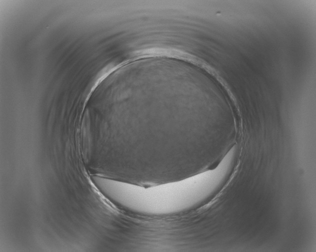 X0000080691529200701051047