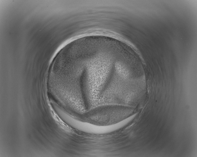 X0000080691530200701051047