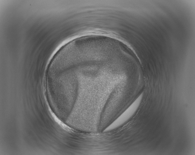 X0000080691531200701051047