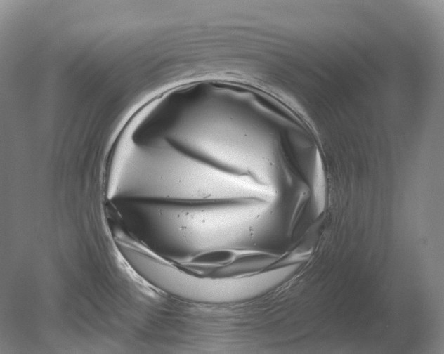 X0000080691532200701051047