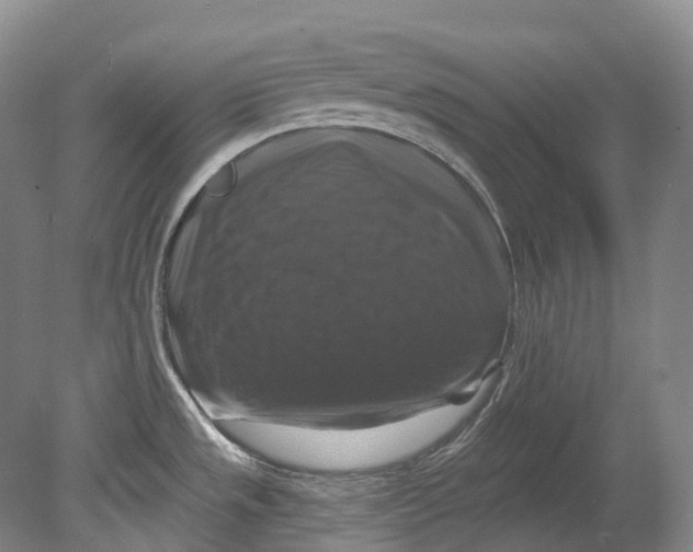 X0000080691533200701051047