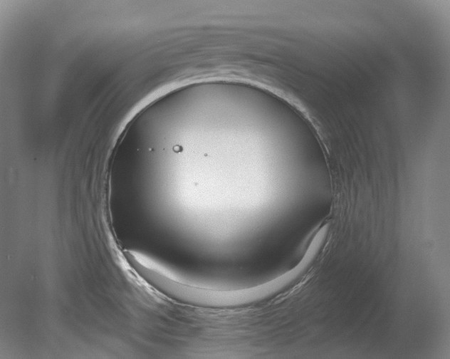 X0000080691534200701051047