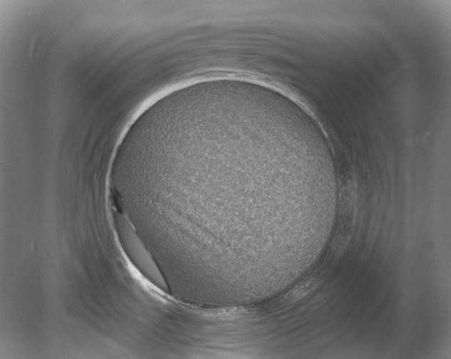 X0000080691535200701051047