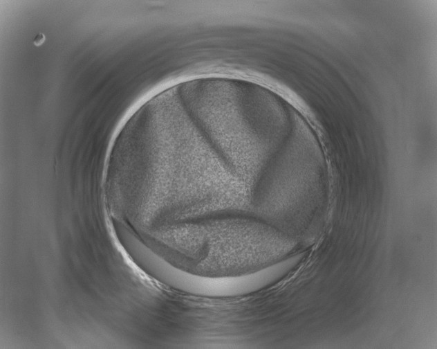 X0000080691536200701051047