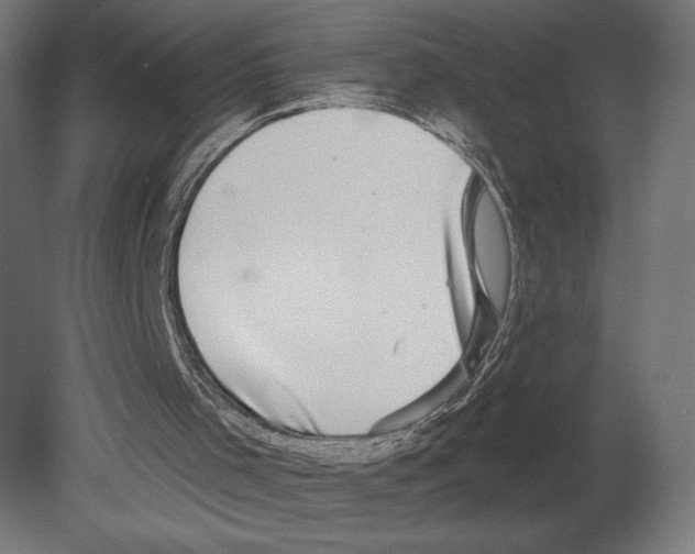 X0000080690001200701121737