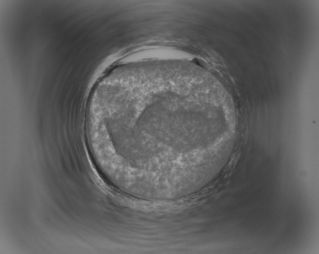 X0000080690003200701121737