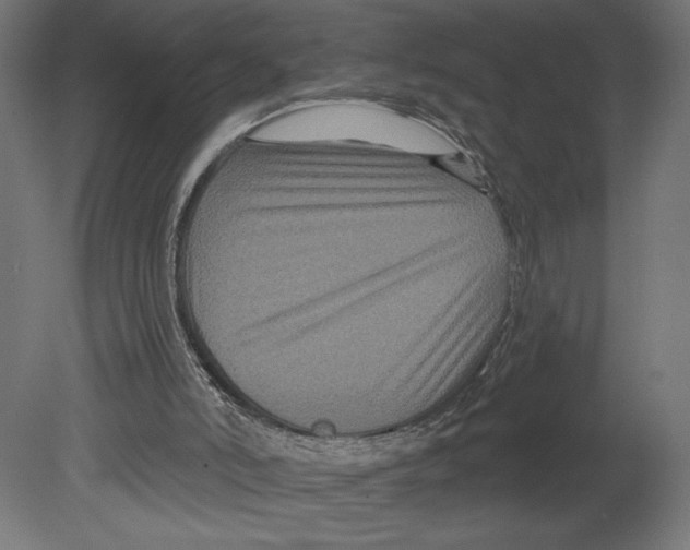 X0000080690006200701121737