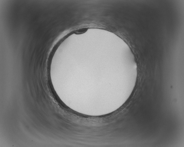 X0000080690008200701121737