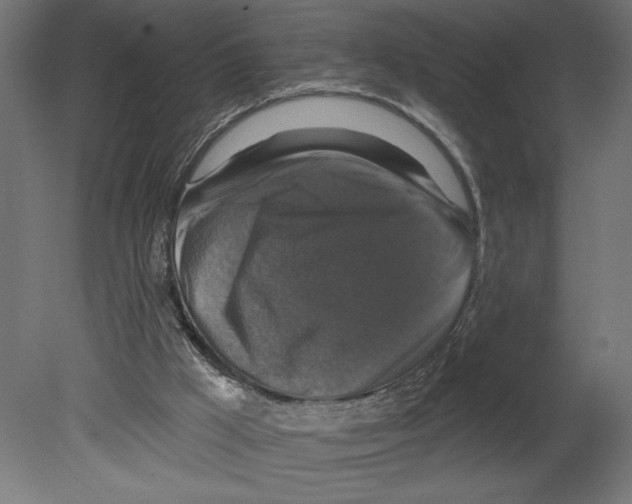 X0000080690009200701121737