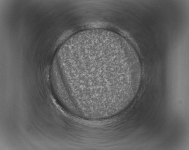 X0000080690010200701121737