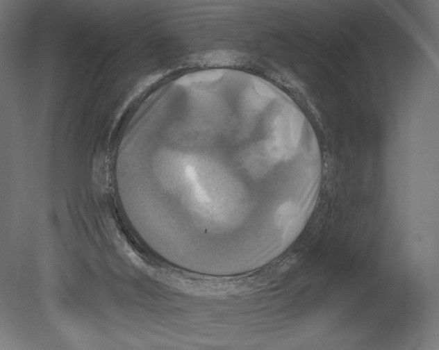 X0000080690012200701121737