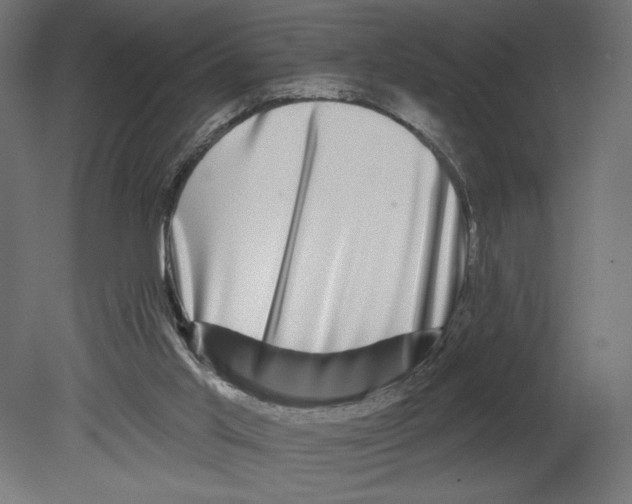 X0000080690013200701121737