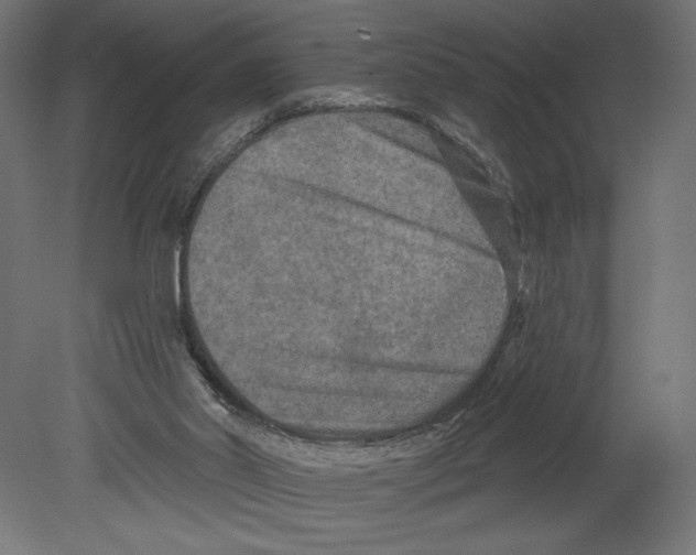 X0000080690014200701121737