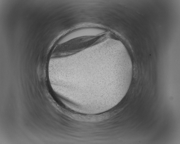 X0000080690015200701121737