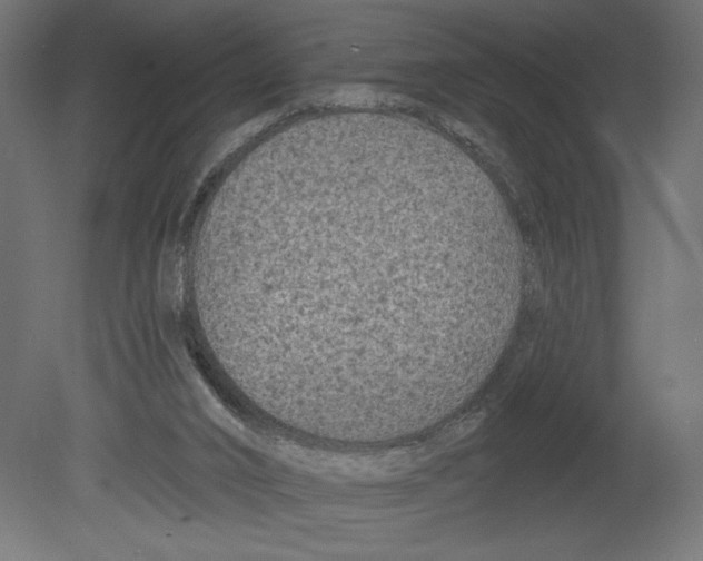 X0000080690016200701121737