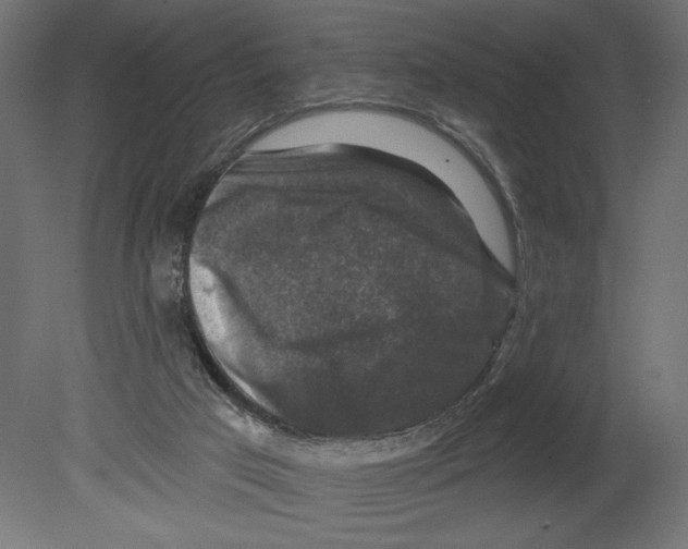 X0000080690017200701121737