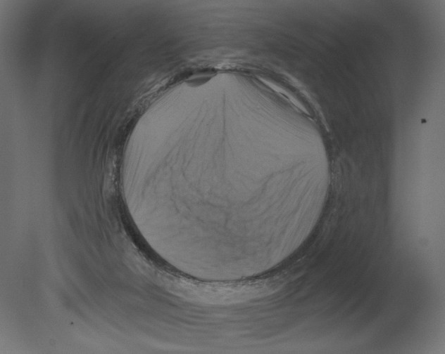 X0000080690018200701121737