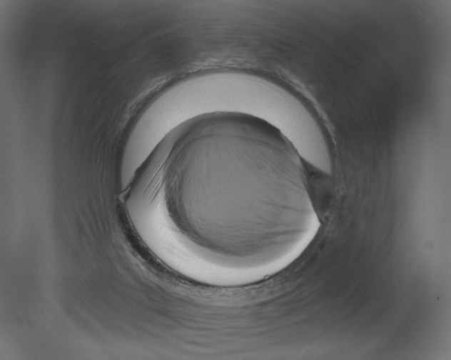 X0000080690019200701121737