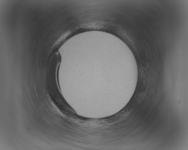 X0000080690020200701121737