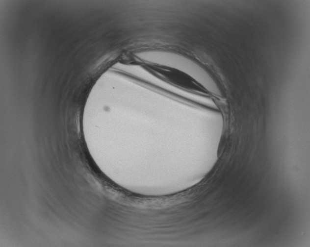 X0000080690021200701121737