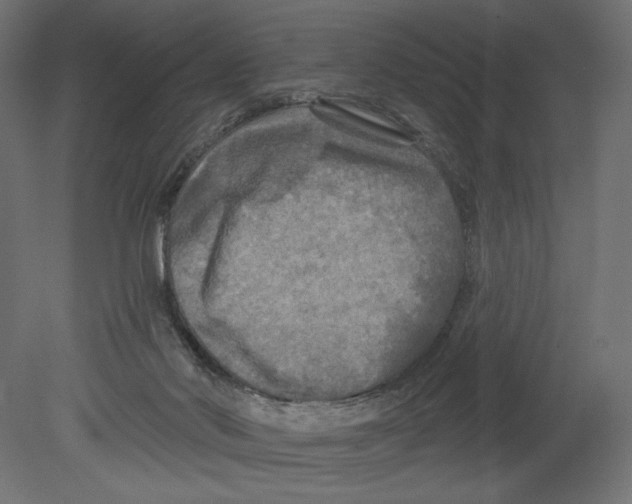 X0000080690022200701121737