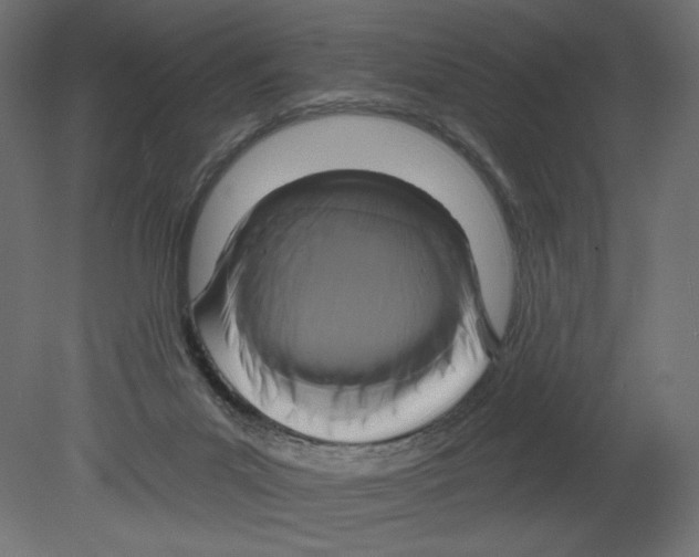 X0000080690023200701121737