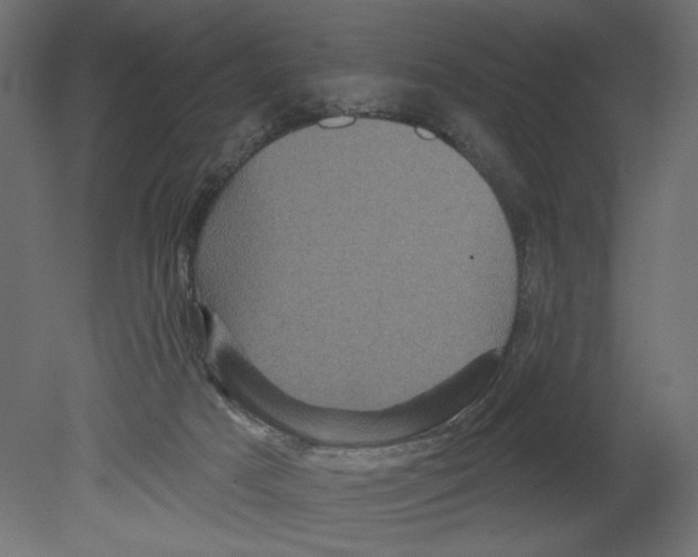 X0000080690025200701121737