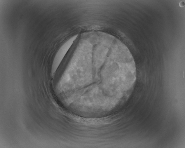 X0000080690026200701121737