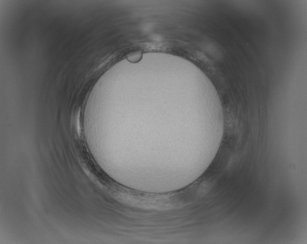 X0000080690028200701121737