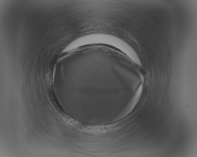 X0000080690029200701121737