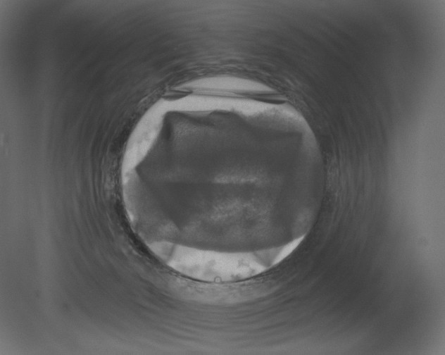 X0000080690030200701121737