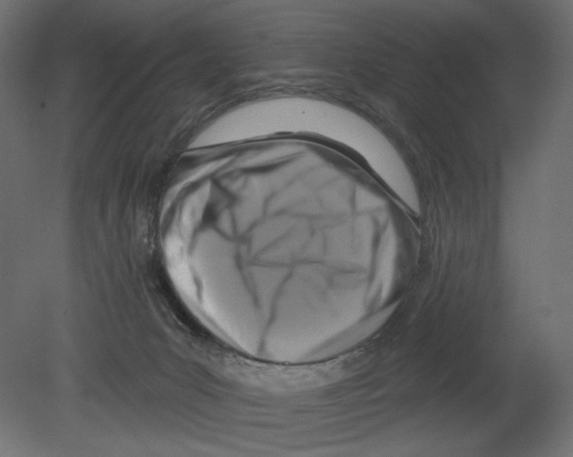 X0000080690031200701121737