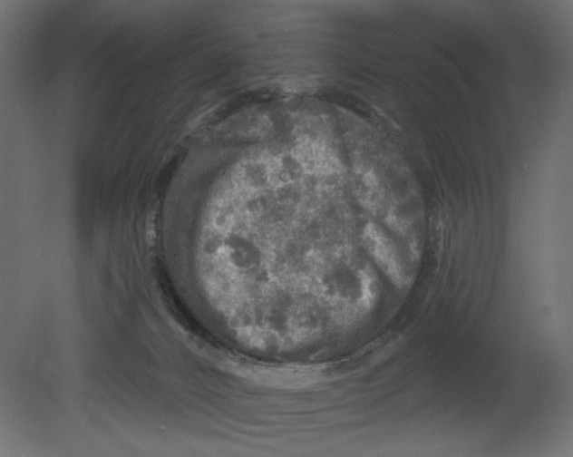 X0000080690032200701121737