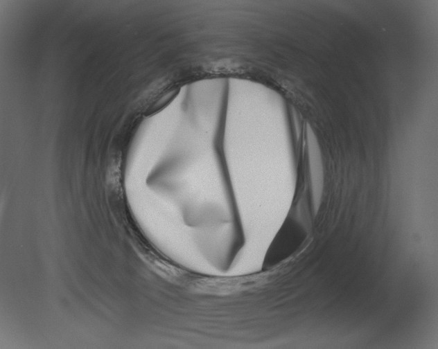 X0000080690033200701121737